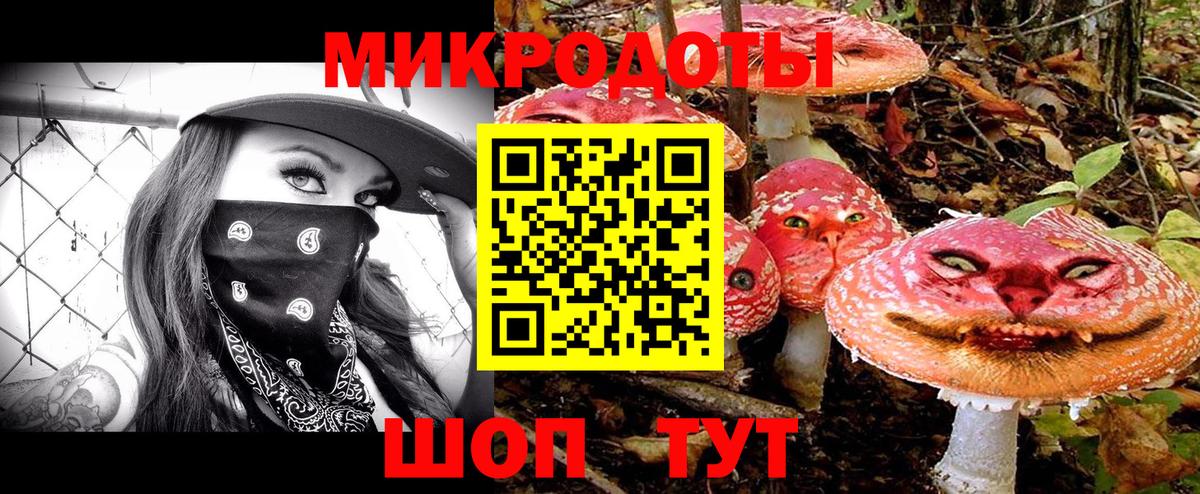 Псилоцибиновые грибы Magic Shrooms Калининград