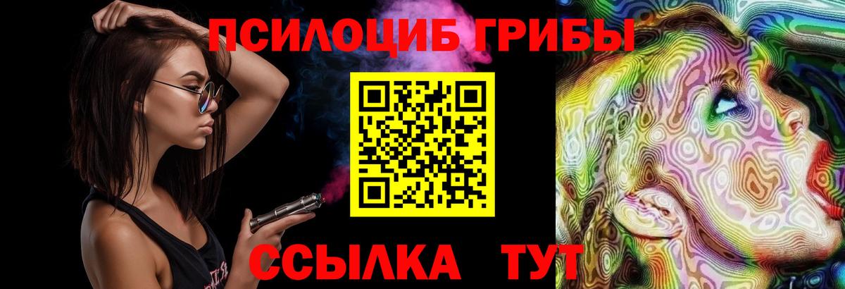 Галлюциногенные грибы ЛСД  Вход с VPN  где можно купить   Псилоцибиновые грибы Psilocybe  Калининград 